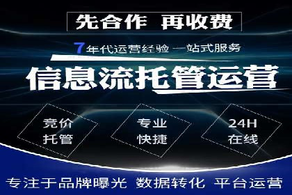 SEM专员的角色与成功案例解析